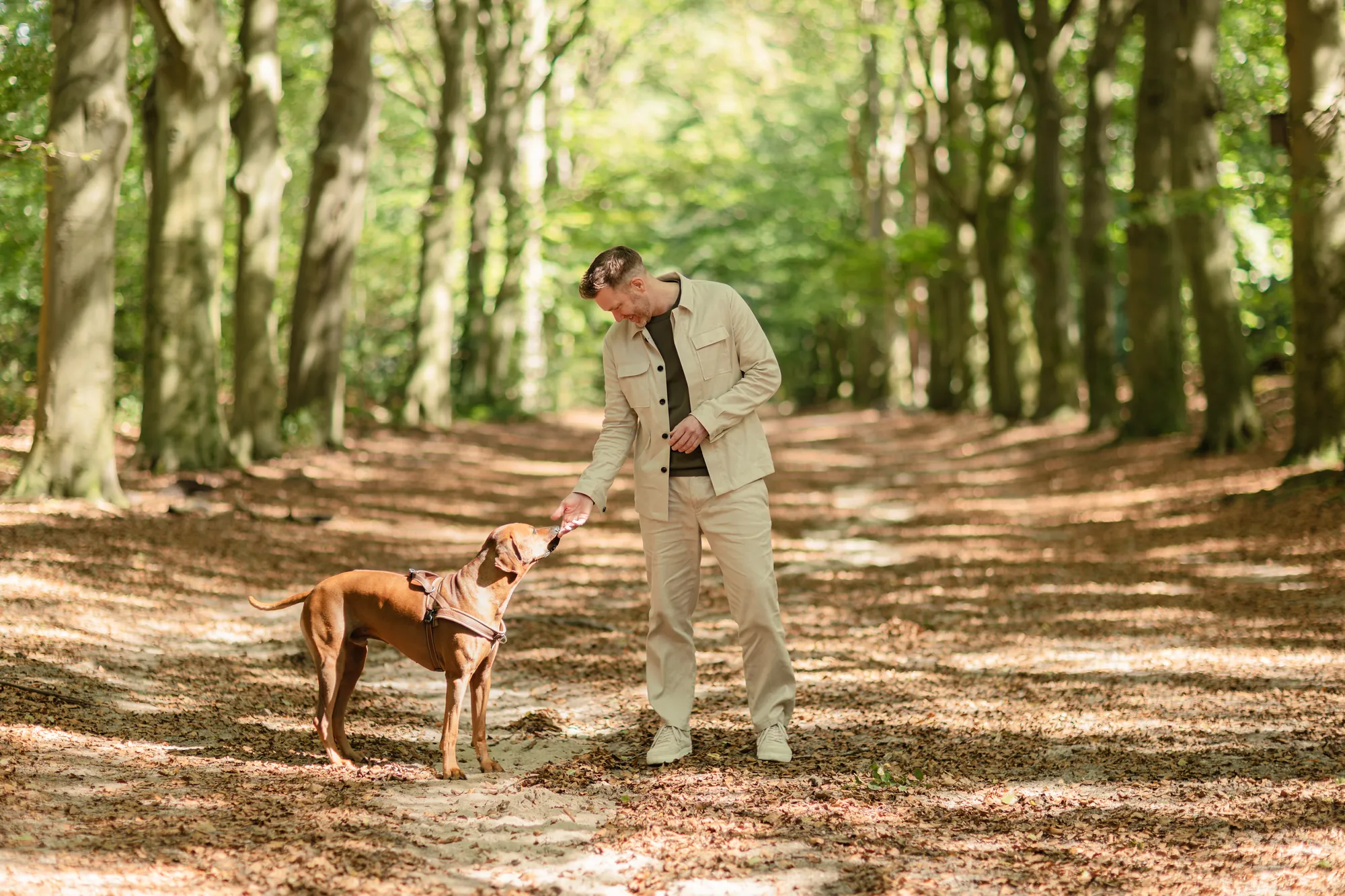 Sipke Jan Bousema wandelt met zijn hond door het bos